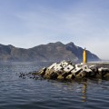 Cape Town 337