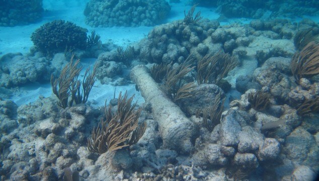 Sunken Cannon at Saba Rock