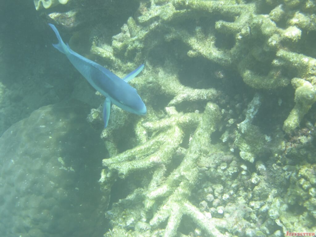 IMG_8291