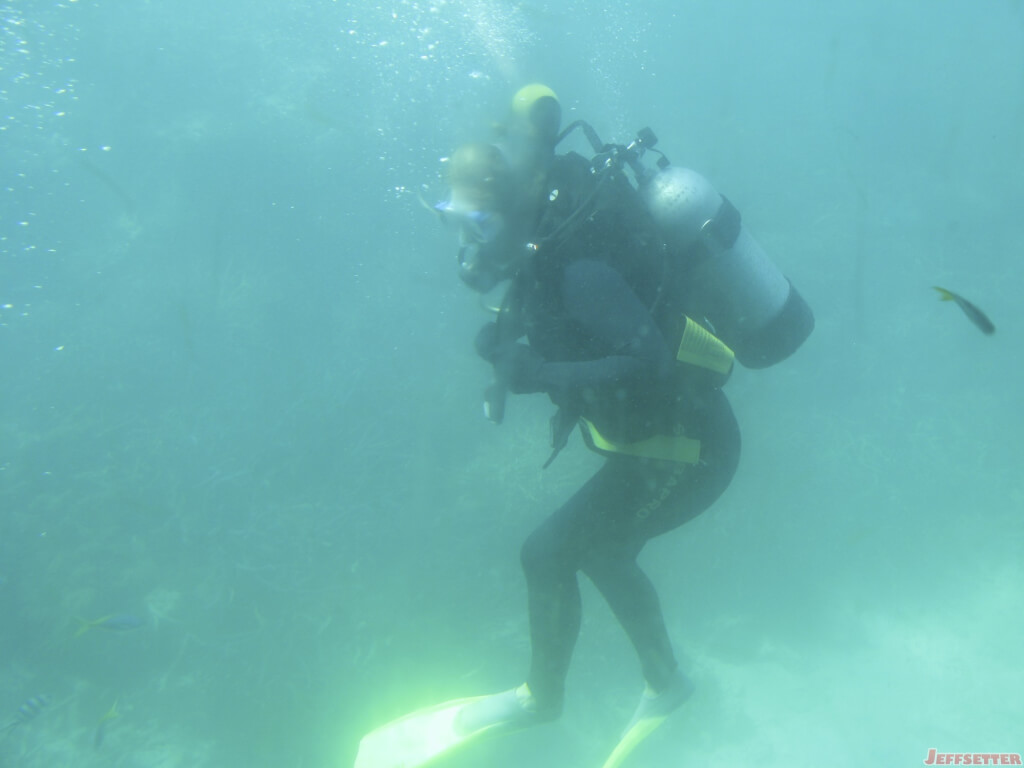 Scuba Steve