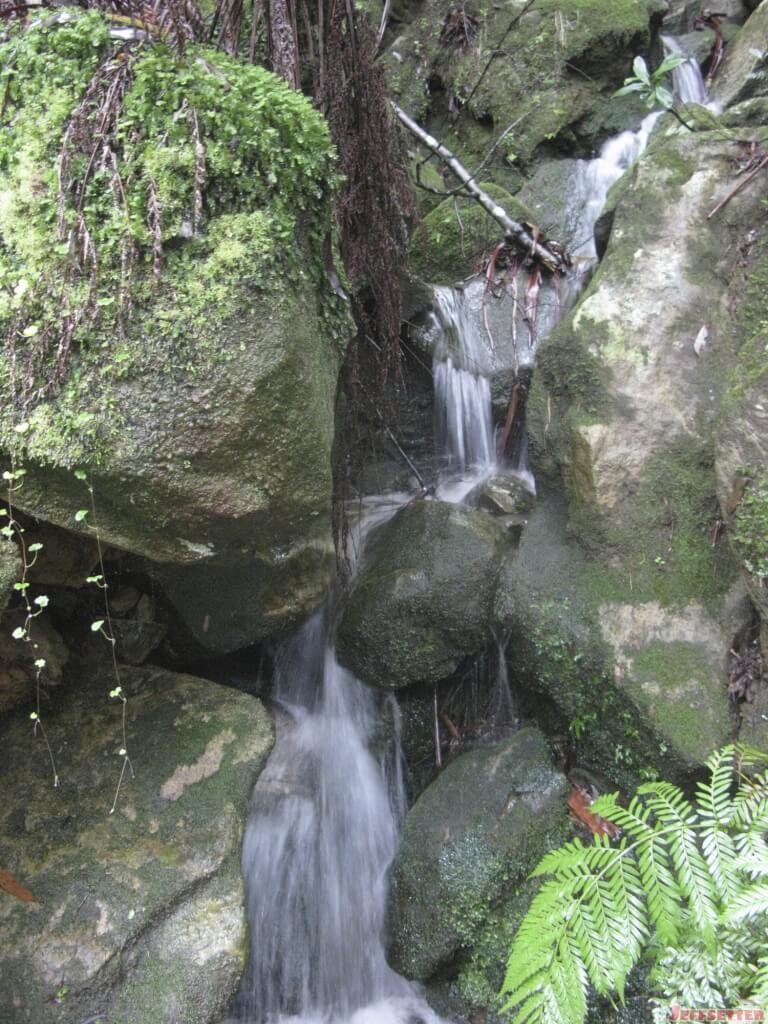 Improv falls