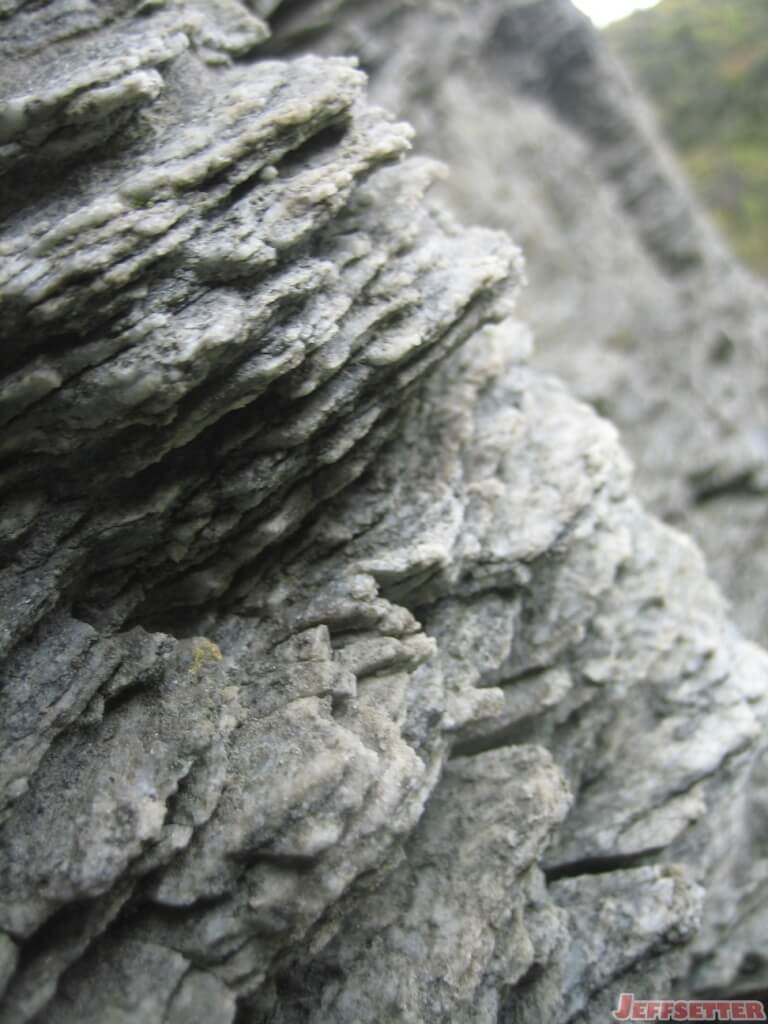 Shale Closeup