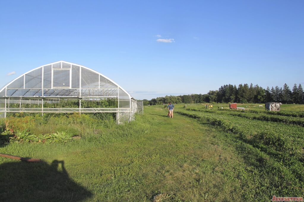 Greenhouse and Farm Area