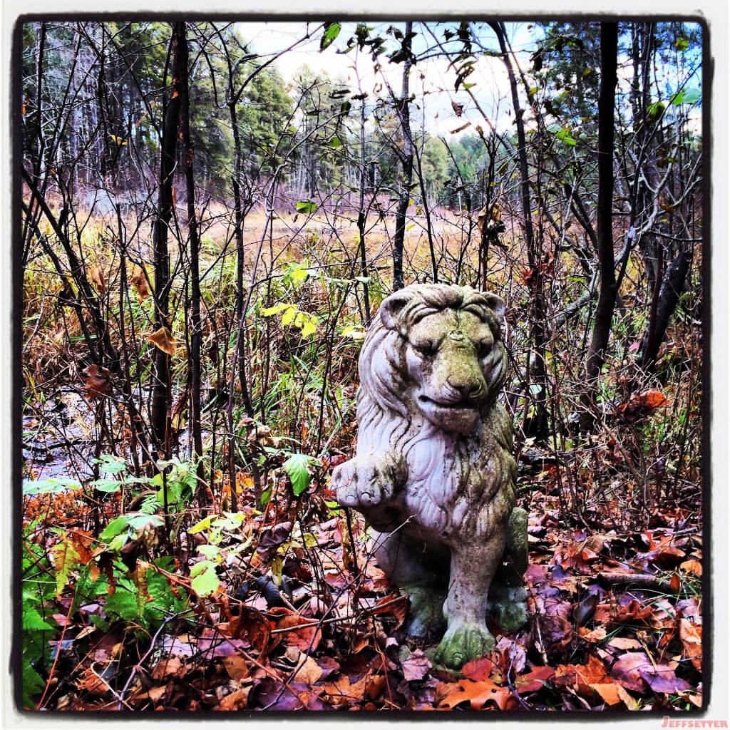 Random Lion Enhanced