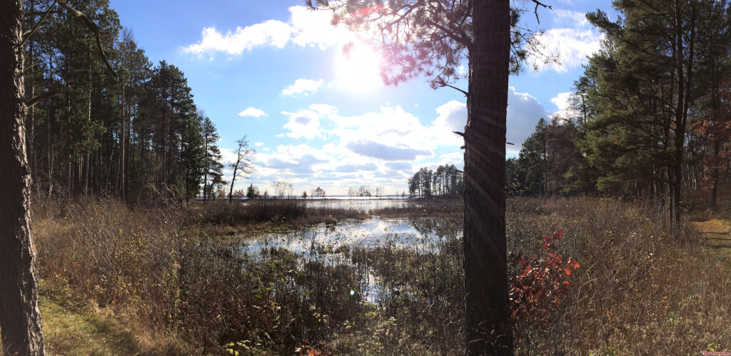 Panorama of reflective pond area