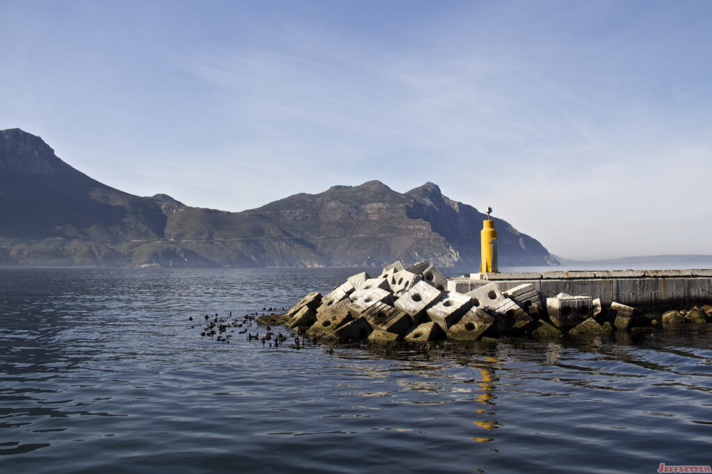 Ascending Table Mountain, Seal Colonies and Penguins Around Cape Town