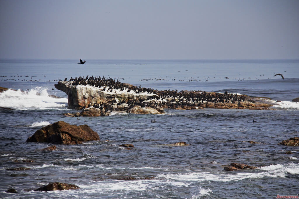 Cape Town 607