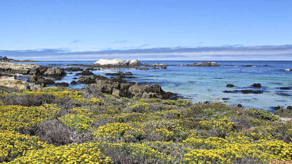 Monterey