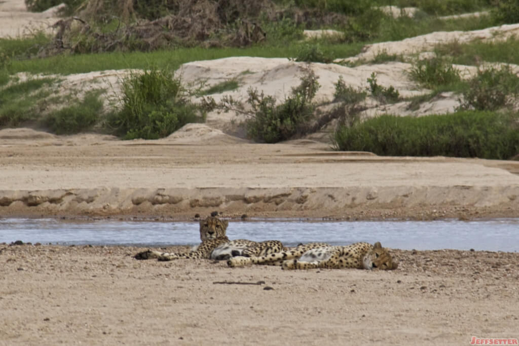 Vuyani Safari 34