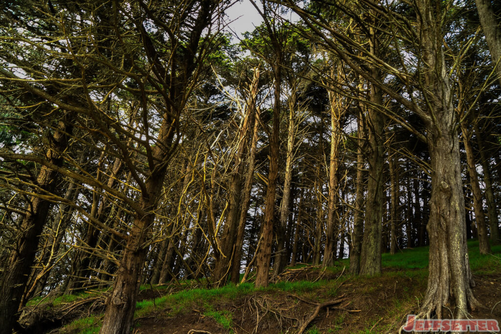 Golden Gate Hike-2