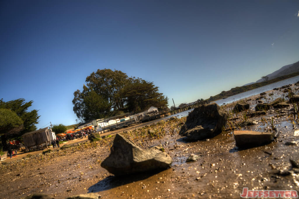 Tomales Bay Oyster Company
