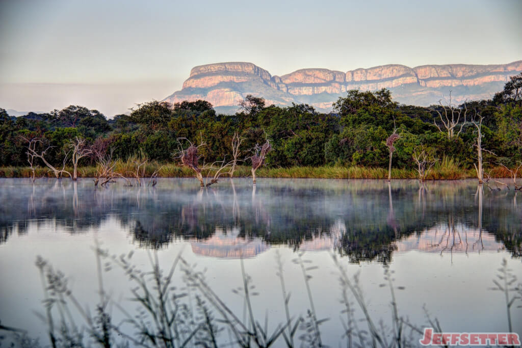 Early Morning Safari in South Africa