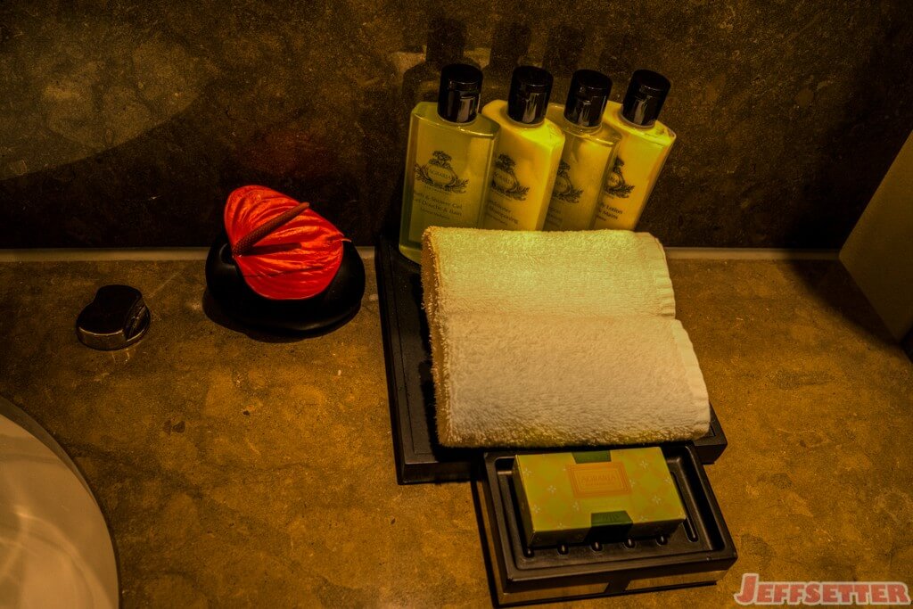 Intercontinental Davos Hotel Review-5