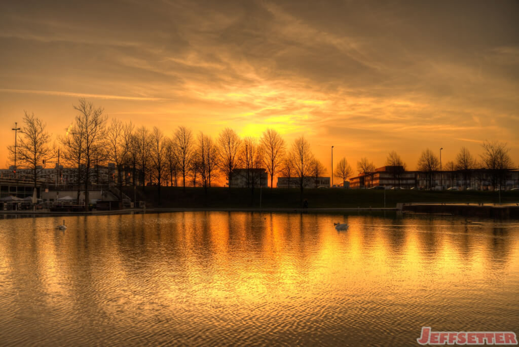 Swans at Sunset in Munich