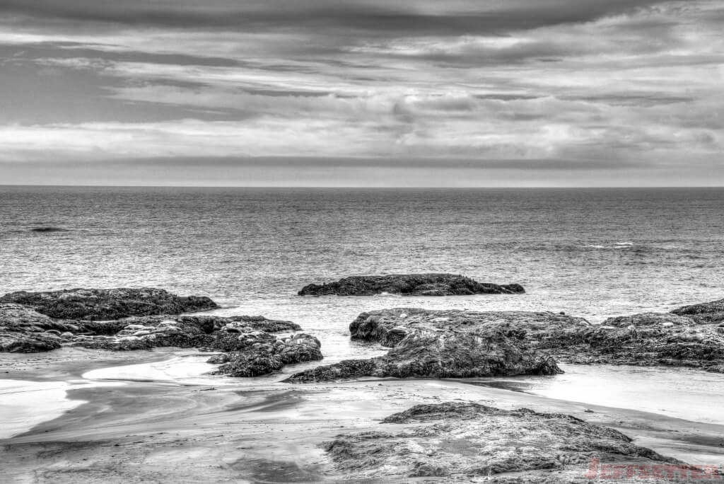 MacKerricher State Park-2