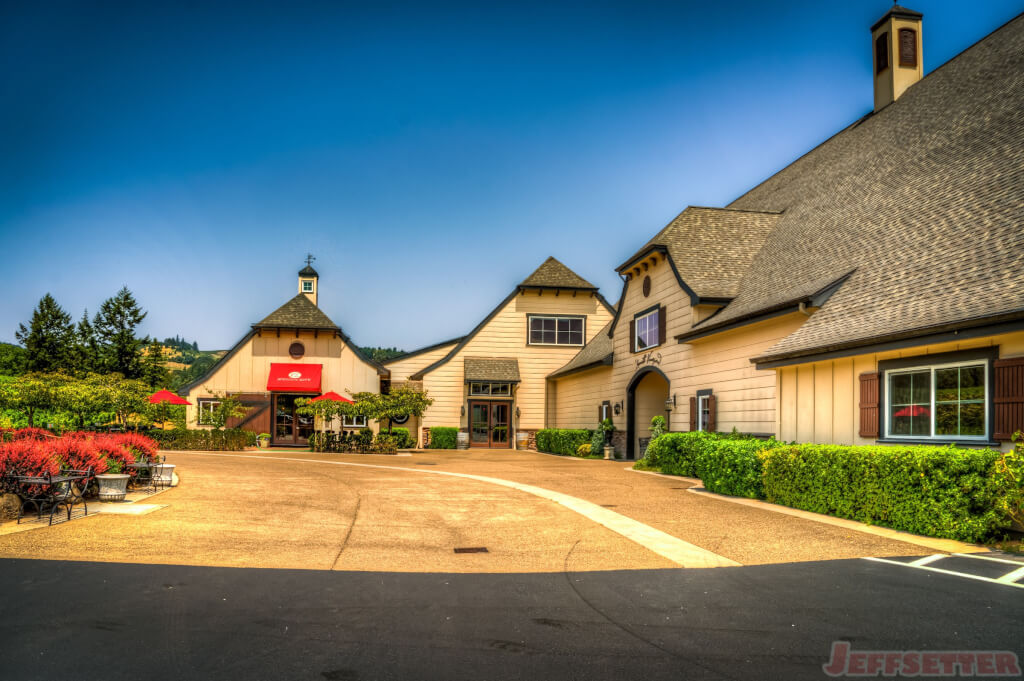 Zenith Vineyard Tour-5