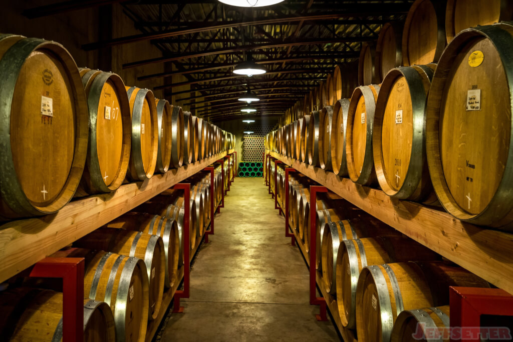 Zenith Vineyard Tour-3