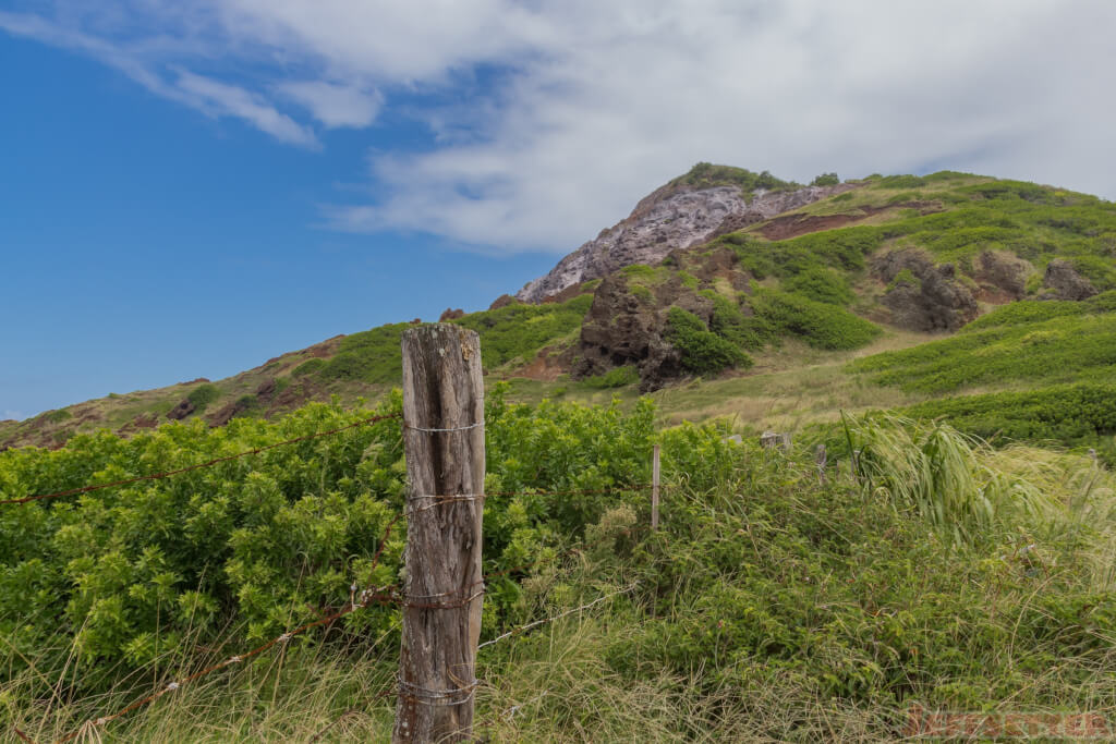 roadtoblowhole2