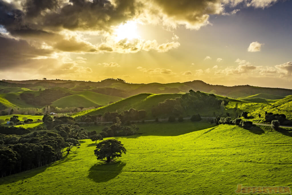 A Few Beautiful Landscapes of Waiheke Island in New Zealand