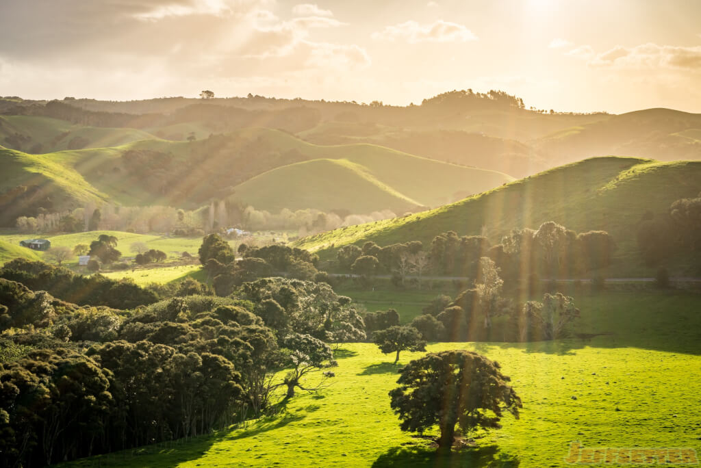 Waiheke Island Landscapes-1