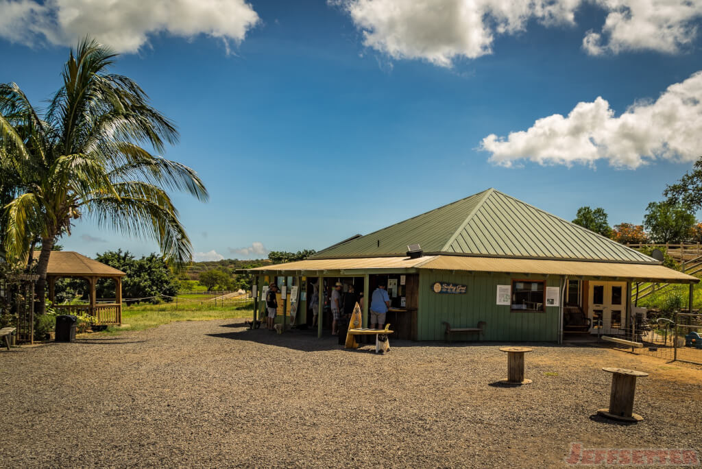 Surfing Goat Dairy-9
