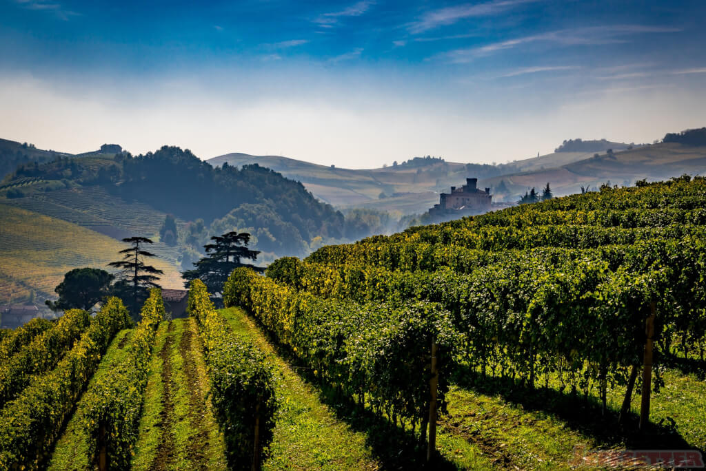 A castle in Barolo-1
