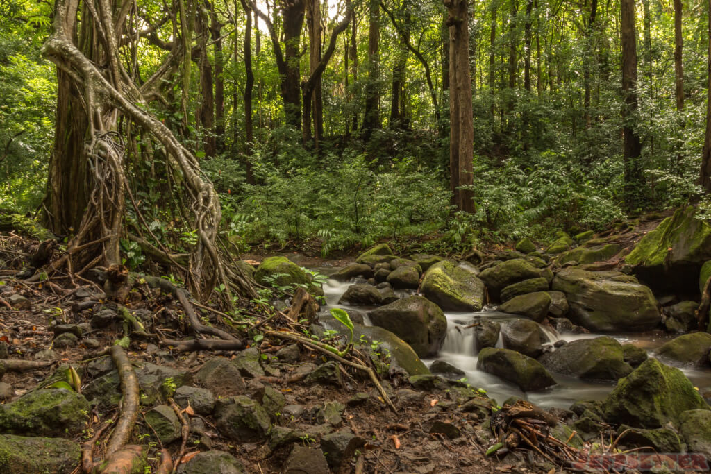 Oahu Photo Tour