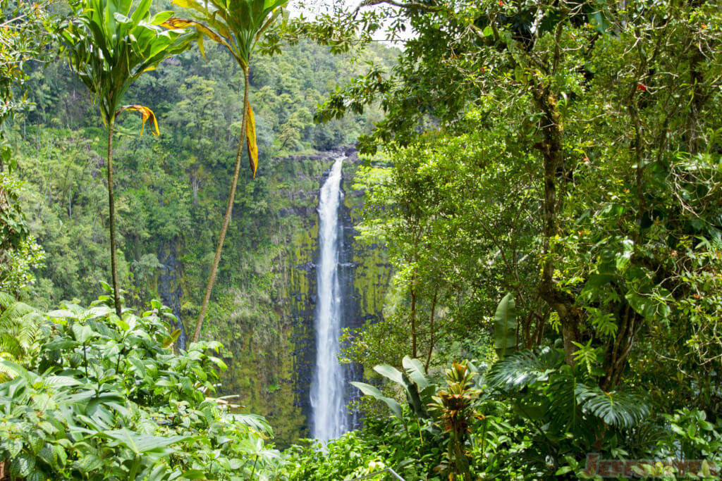Akaka Falls