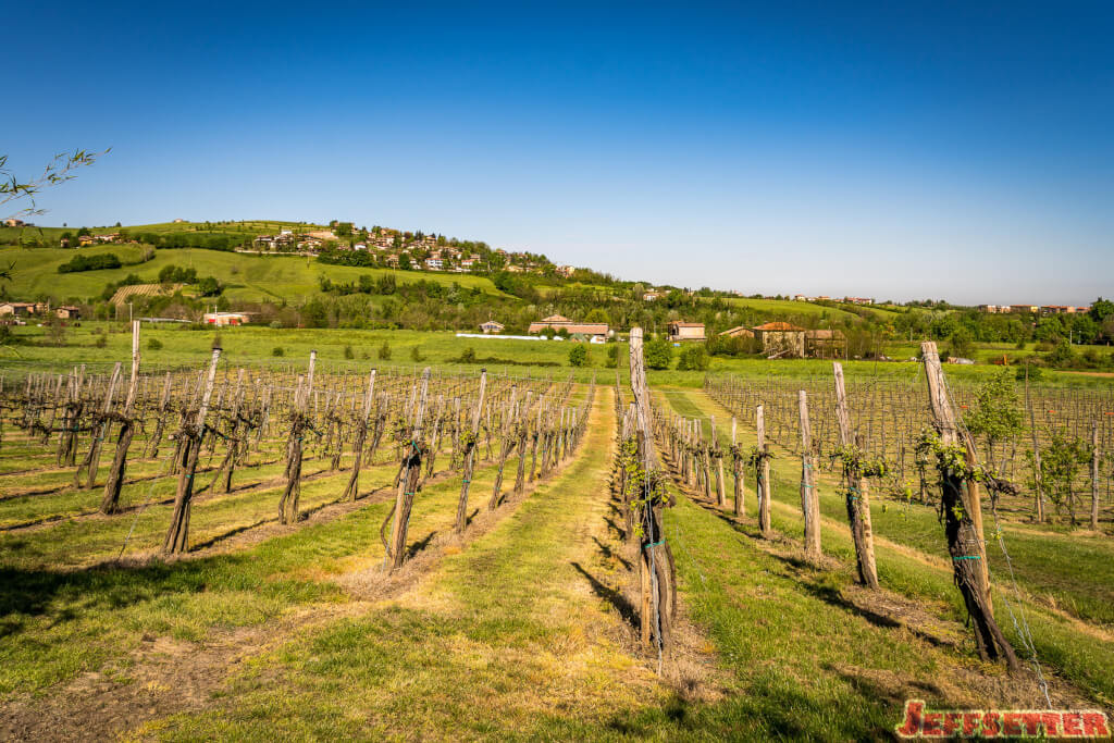 Balsamic of Modena Tour-00287