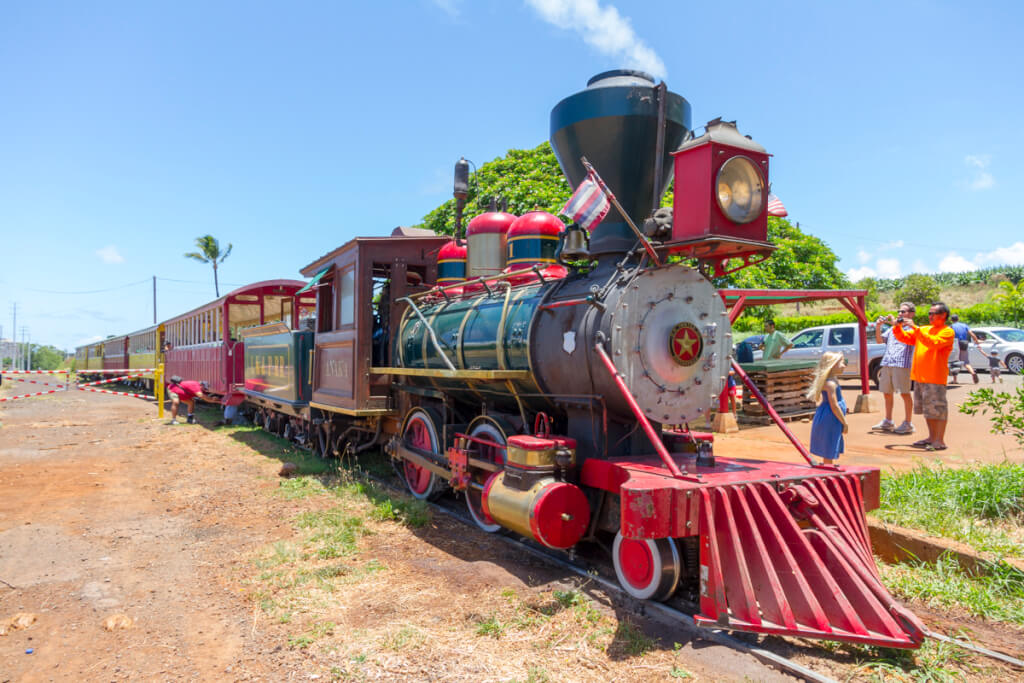 Maui Sugar Cane Train Holiday Express