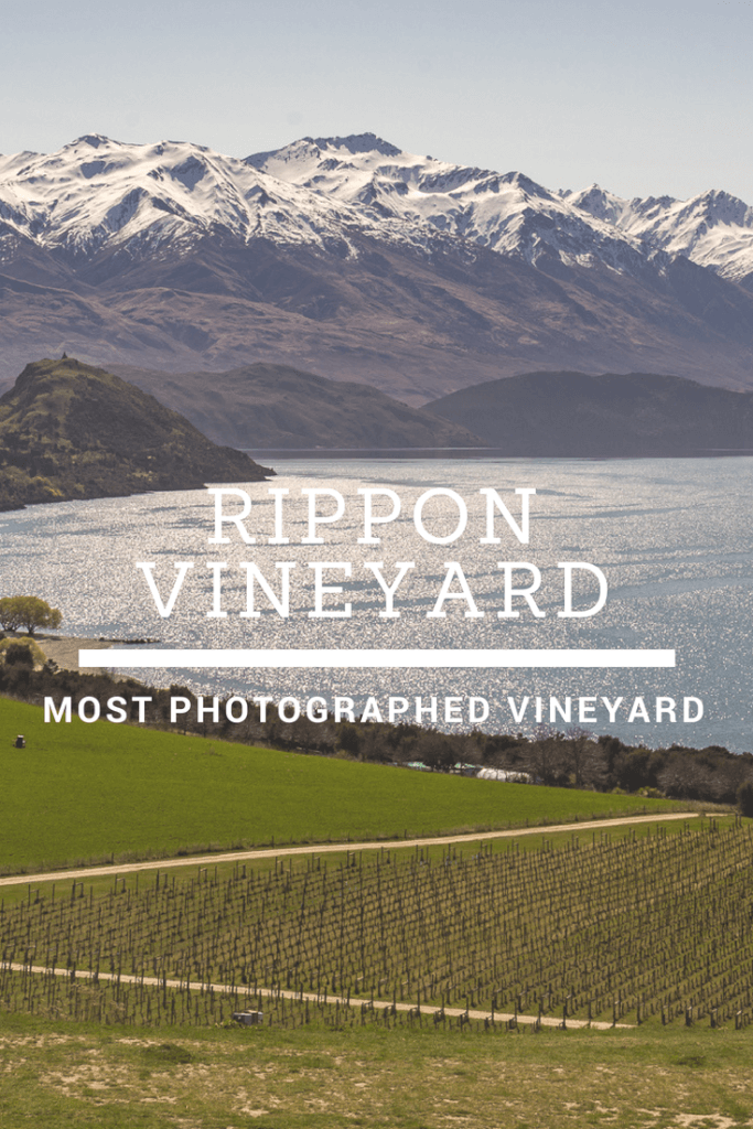 Rippon Vineyard: The World's Most Photographed Vineyard