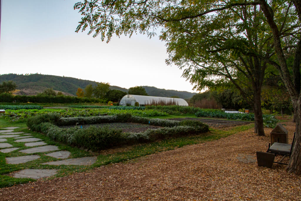 The French Laundry Experience