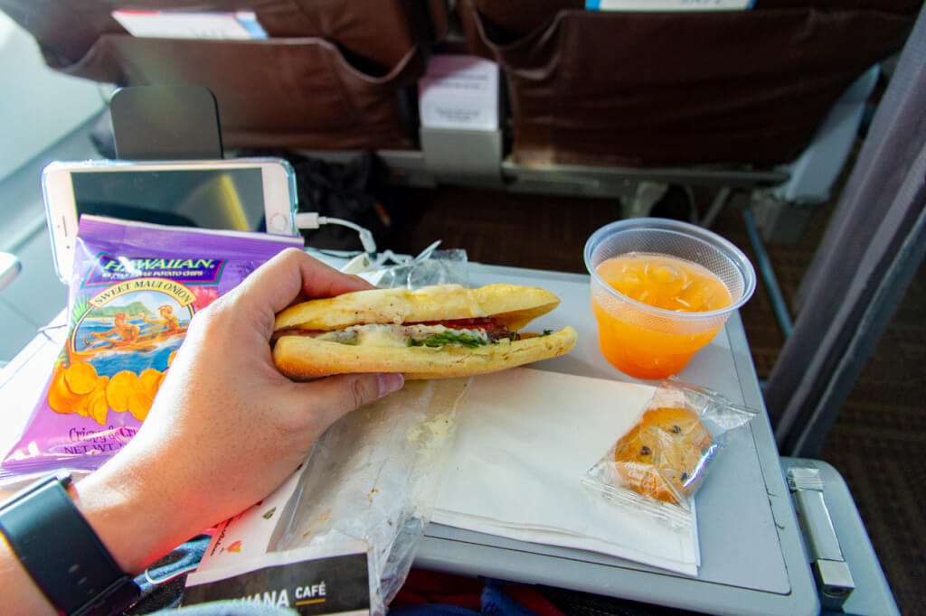 2019 In-Flight Food Nutrition Ratings