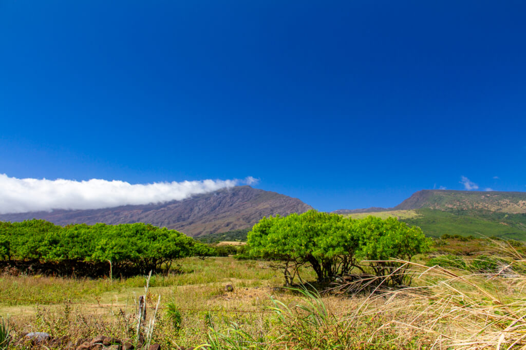 Active and Potentially Active Volcanoes of Hawai