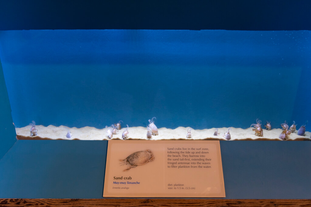 Monterey Bay Aquarium