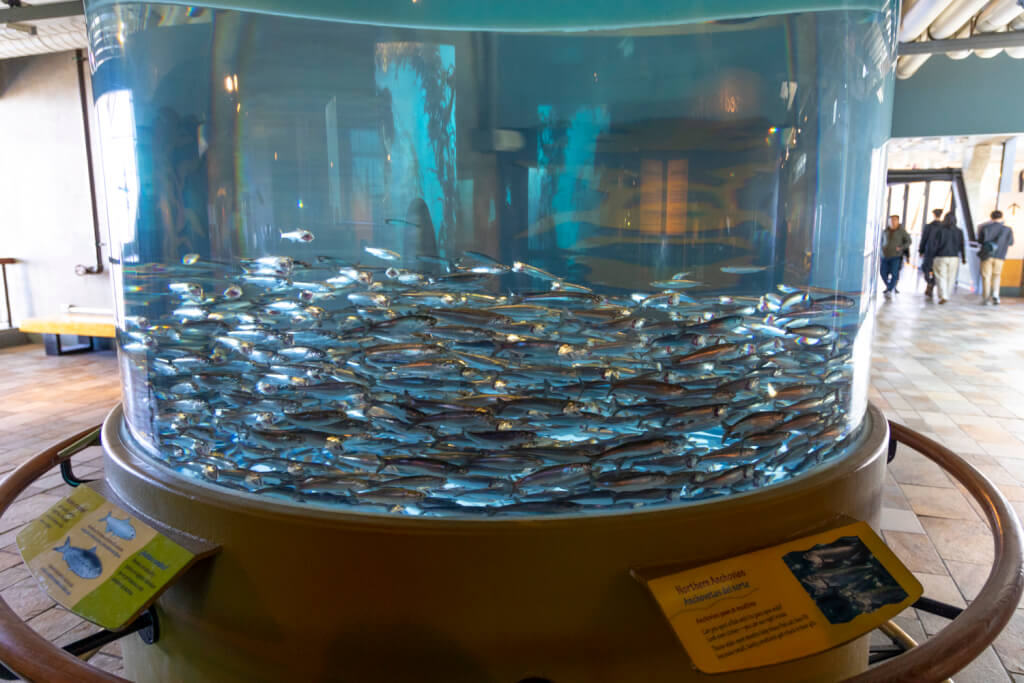 Monterey Bay Aquarium