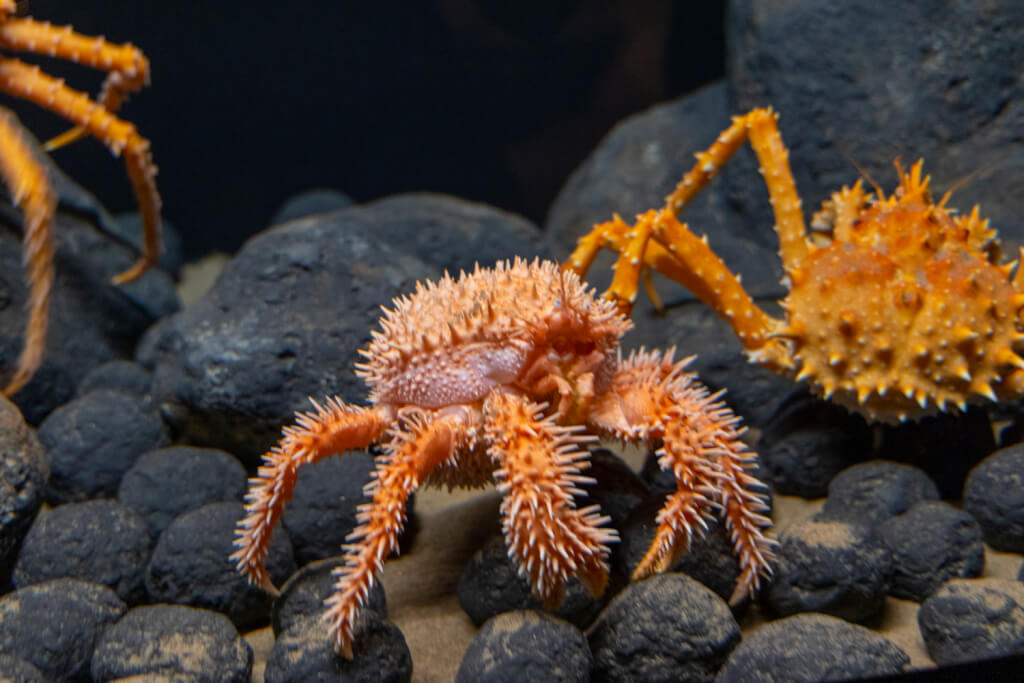 Monterey Bay Aquarium
