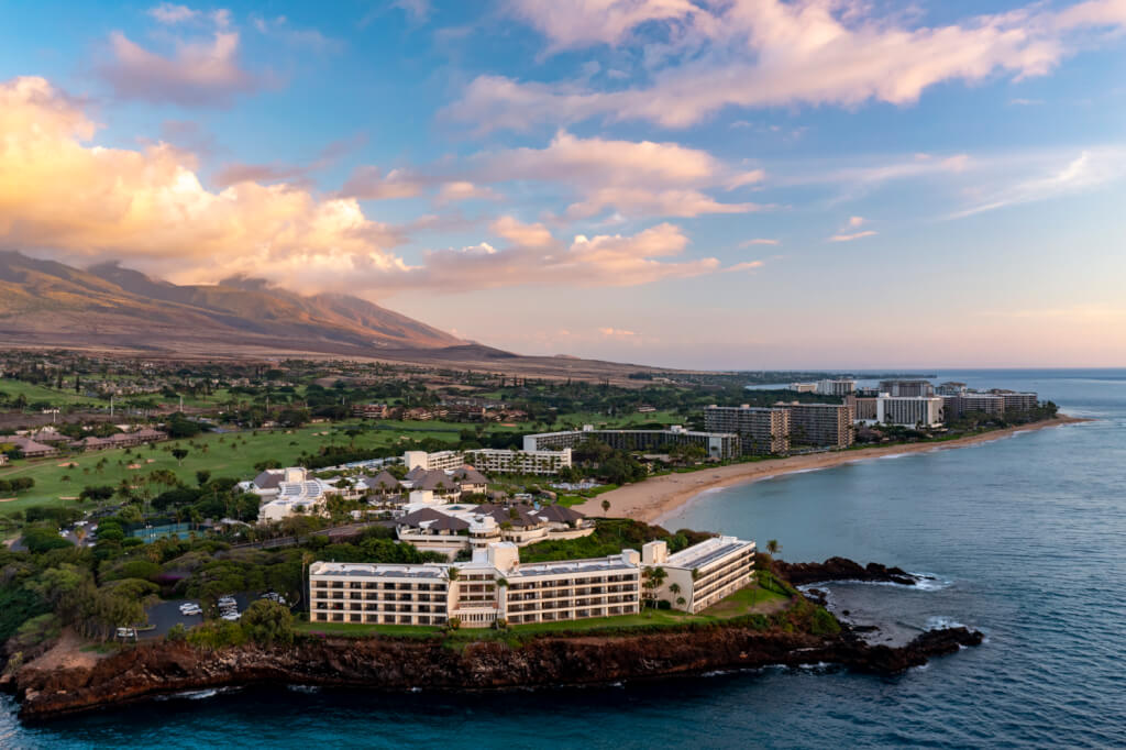 Maui Needs Help