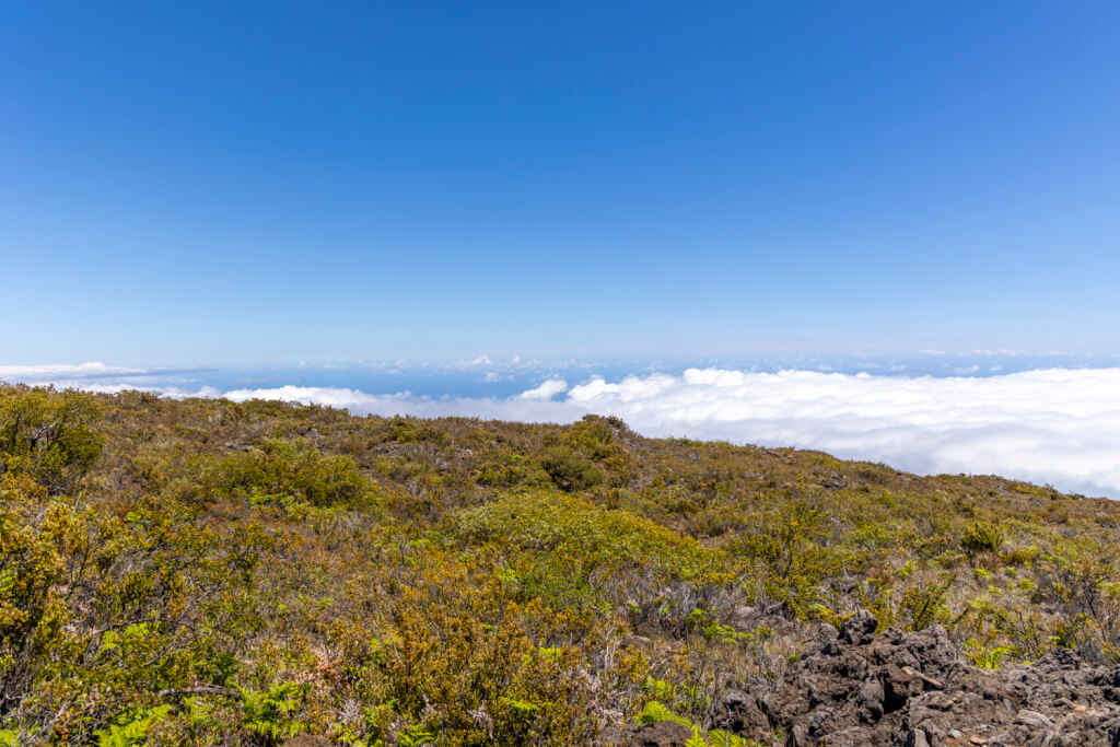 Day of Hiking in Haleakalā National Park - Halemau