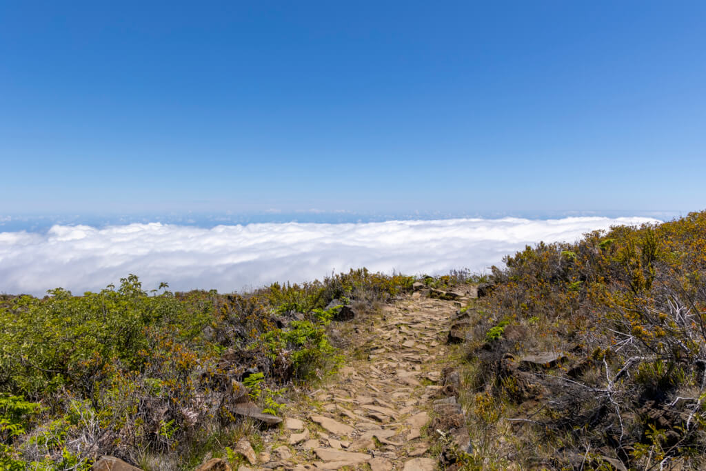 Day of Hiking in Haleakalā National Park - Halemau