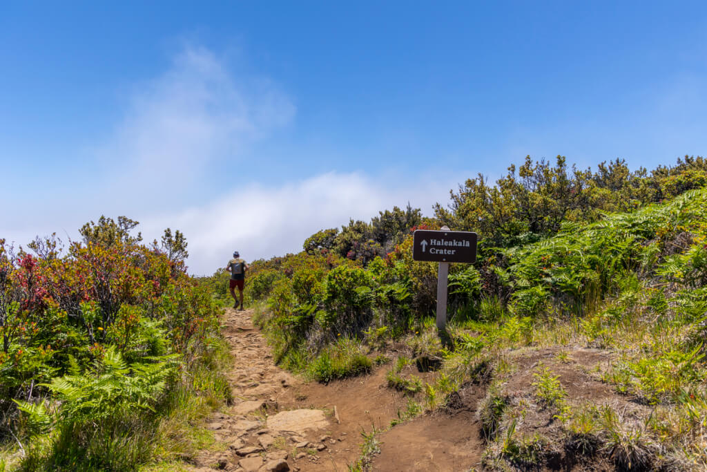 Day of Hiking in Haleakalā National Park - Halemau
