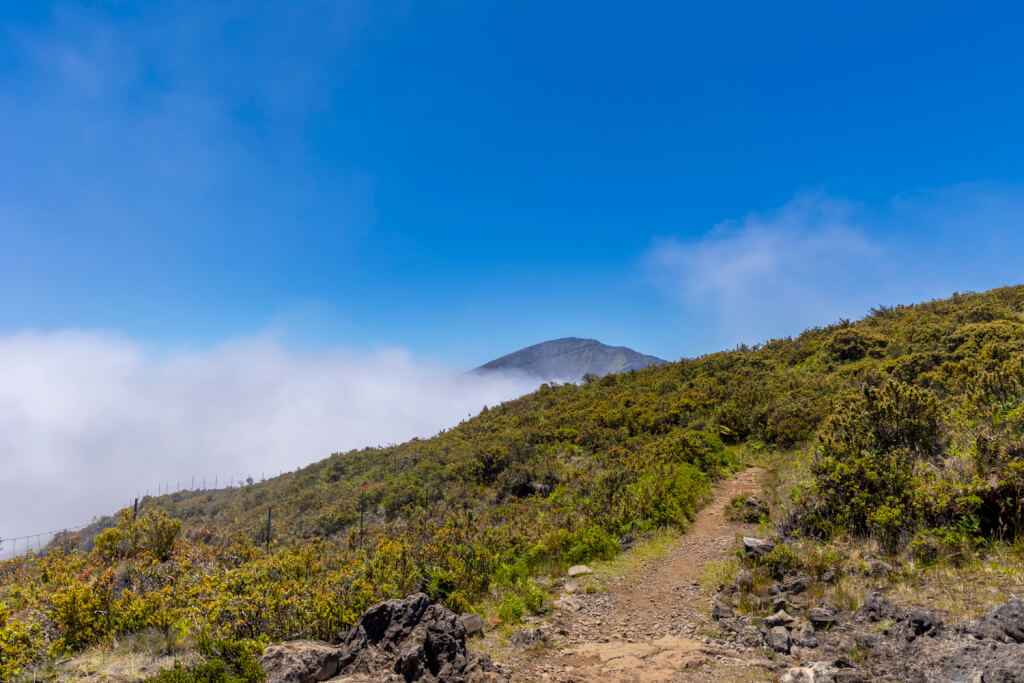 Day of Hiking in Haleakalā National Park - Halemau