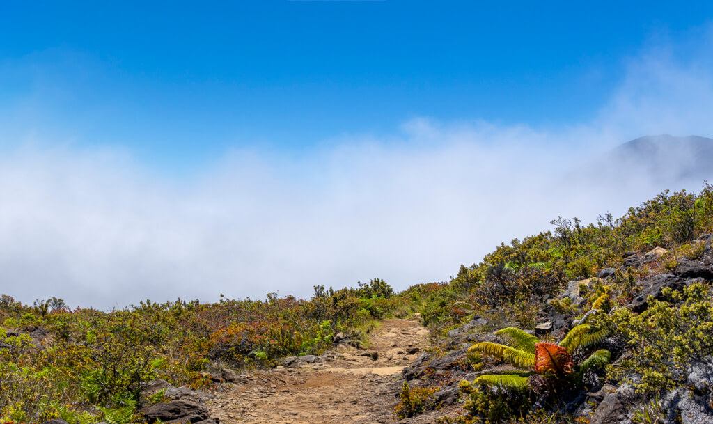 Day of Hiking in Haleakalā National Park - Halemau