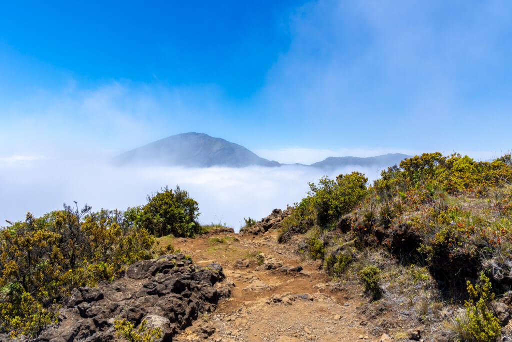Day of Hiking in Haleakalā National Park - Halemau