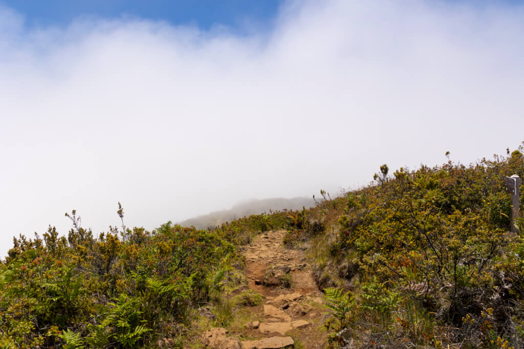 Day of Hiking in Haleakalā National Park - Halemau