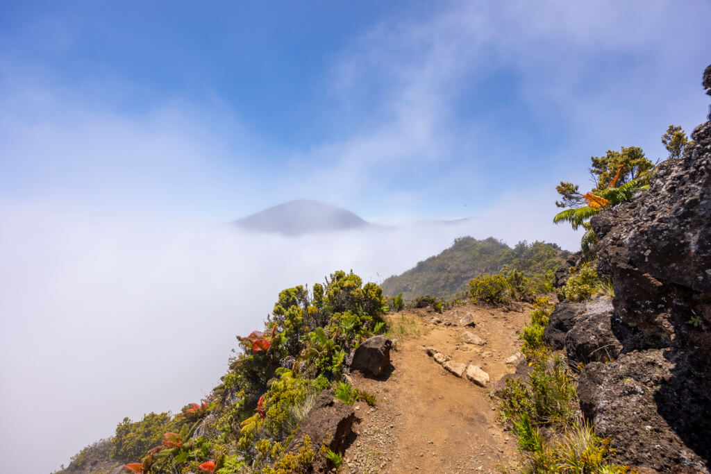 Day of Hiking in Haleakalā National Park - Halemau