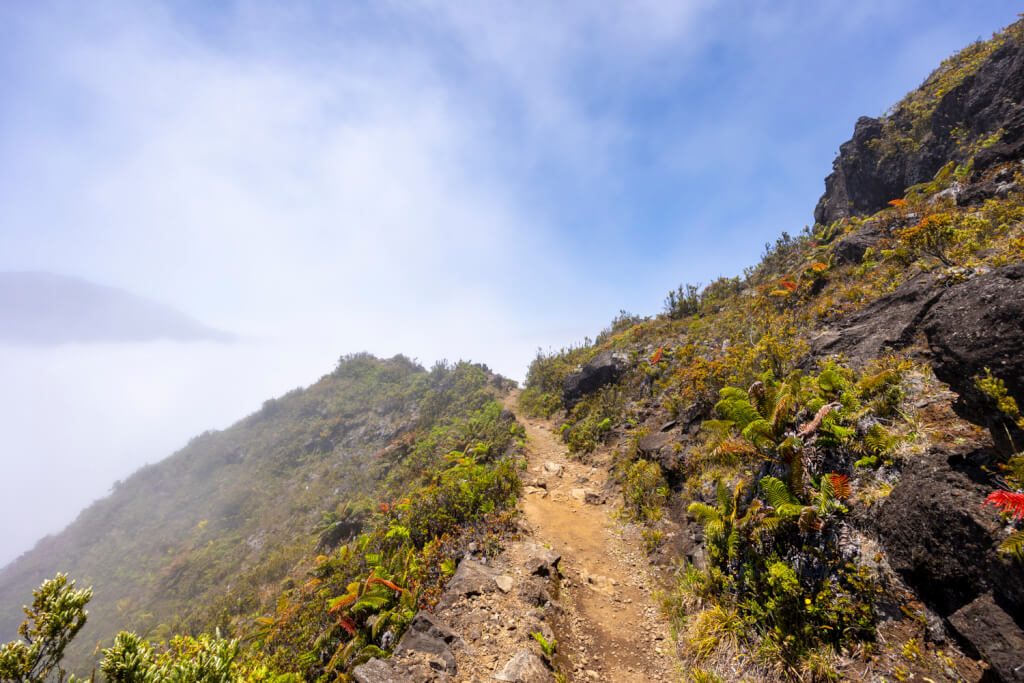 Day of Hiking in Haleakalā National Park - Halemau