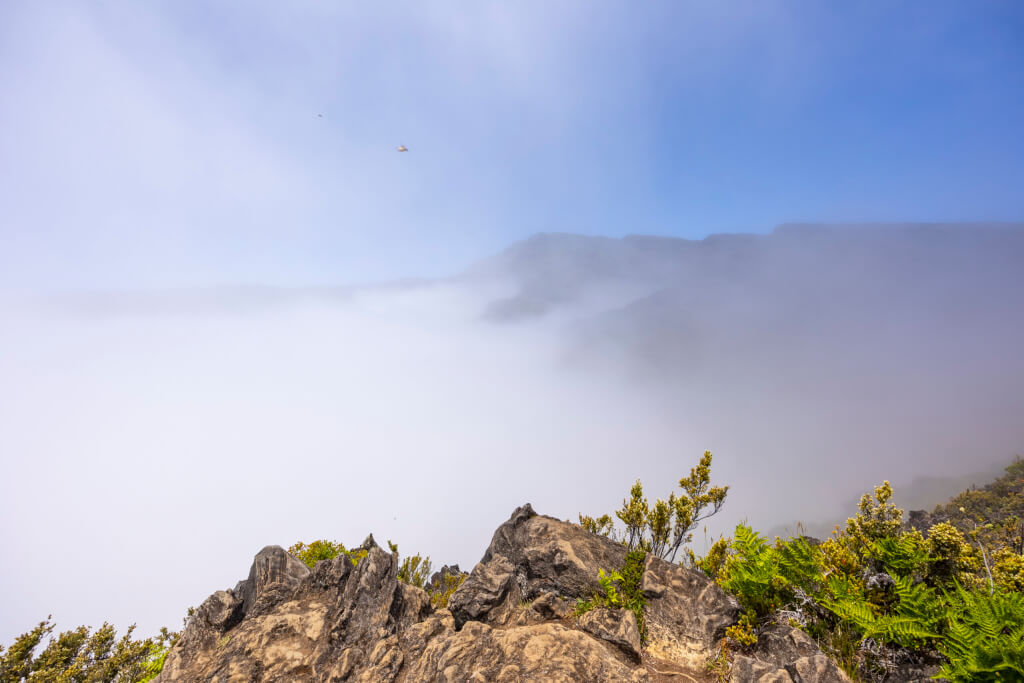 Day of Hiking in Haleakalā National Park - Halemau