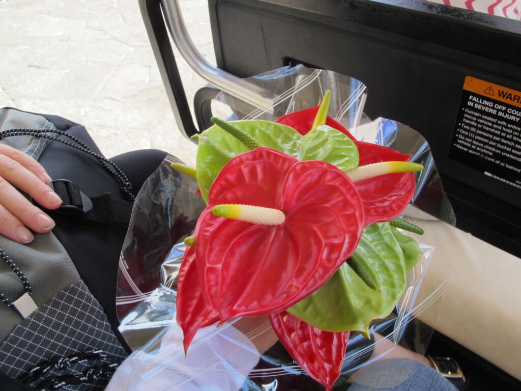 Welcome Flowers at the Four Seasons Mauritius
