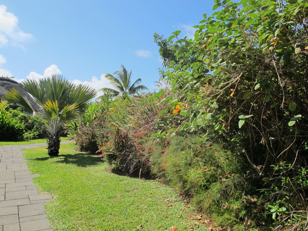 Walkway Leading Up to the Villa Walkway Leading Up to the Villa